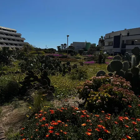 Héliophile Village Naturiste Héliopolis Vue Apartamento *